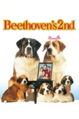2w37cwqa0ravbmzfqaswmrfjmem - DesireMovies, DesireMovies2.My