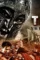 80017535 - DesireMovies, DesireMovies2.My