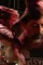 Armaand 2023 - DesireMovies, DesireMovies2.My
