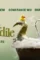 Lyle lyle crocodile 2022 p - DesireMovies, DesireMovies2.My