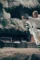 Rising shaolin p - DesireMovies, DesireMovies2.My