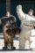 Secret zoo 2020 p - DesireMovies, DesireMovies2.My