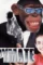 Spymate - DesireMovies, DesireMovies2.My