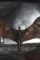 True bloodthirst 2012 p - DesireMovies, DesireMovies2.My