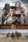 B988ac75306205d54c1c9ee4aae93b6e - DesireMovies, DesireMovies2.My