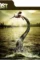 Ddibesh 4e7c84ab b80e 46b0 861c 54ac4a952f3e - DesireMovies, DesireMovies2.My
