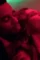 Fatale movie review 2020 - DesireMovies, DesireMovies2.My