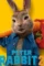 Fqegewgf - DesireMovies, DesireMovies2.My
