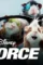 Scale - DesireMovies, DesireMovies2.My