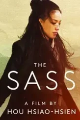 The_assassin_2015_hou_hsiao_hsien - DesireMovies, DesireMovies2.My
