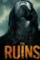 Theruins 2008 21 - DesireMovies, DesireMovies2.My