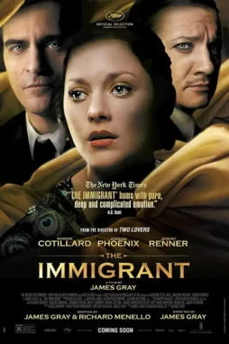T - DesireMovies, DesireMovies2.My
