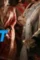 porichoy gupta 2024, DesireMovies - DesireMovies.Help