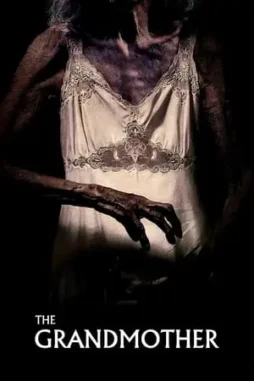 the grandmother 2021 , DesireMovies