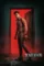 aaryan 2025 , DesireMovies