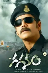gaganam mere hindustan ki kasam 2011 , desiremovies