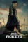 joe pickett 2021 , desiremovies