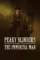 peaky blinders the immortal man 2026 , desiremovies