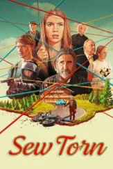 sew torn 2024 , desiremovies
