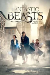 fantastic beasts and where to find them 2016 , desiremovies