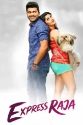 express raja 2016 , desiremovies